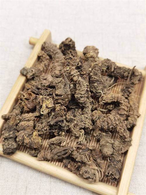 中药材蜘蛛香收购,蜘蛛香价格,蜘蛛香厂家直销,哪里能买到蜘蛛香