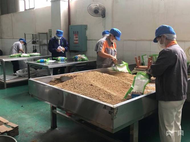 湖南安仁:"神农药都"强势崛起